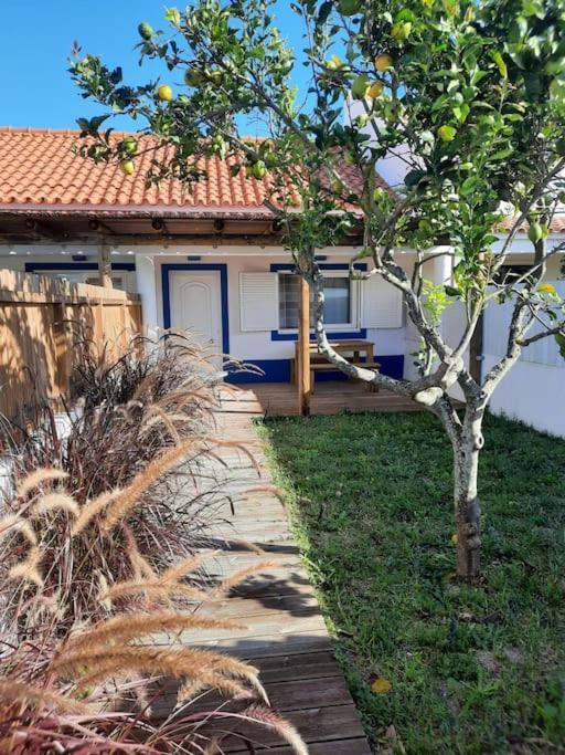 Sado House 3 Villa Comporta Dış mekan fotoğraf